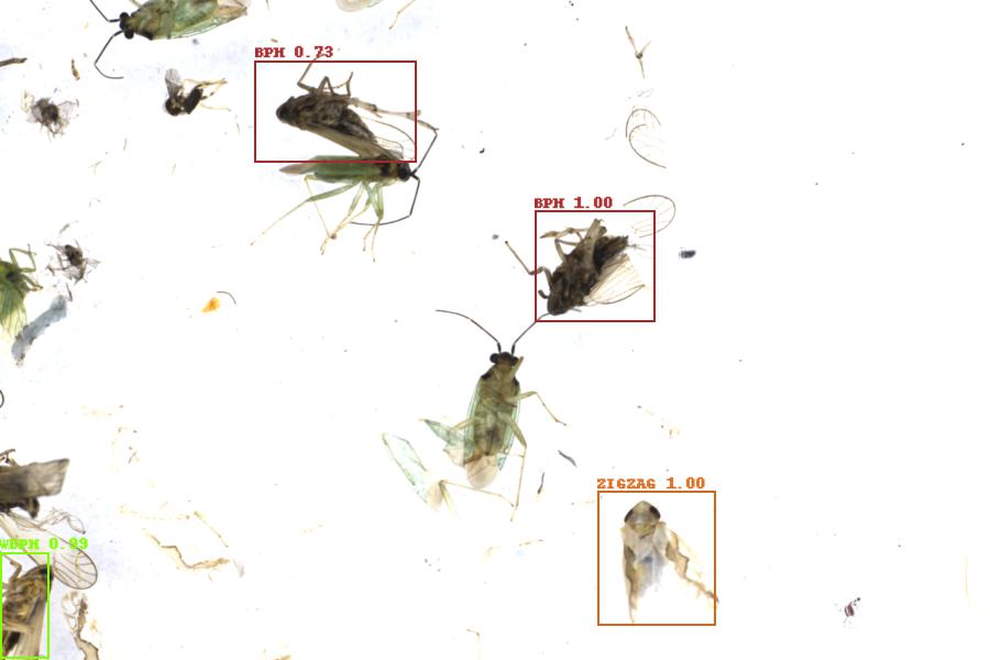 Image 3